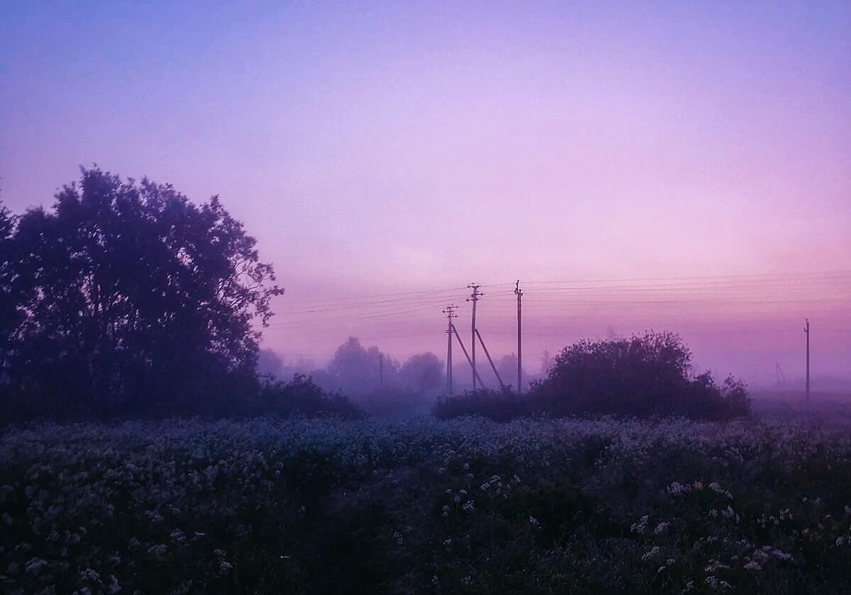 【直播】姿态：涅槃的队伍都消失了，哦不对他们还没下班，还不能说？等官宣吧