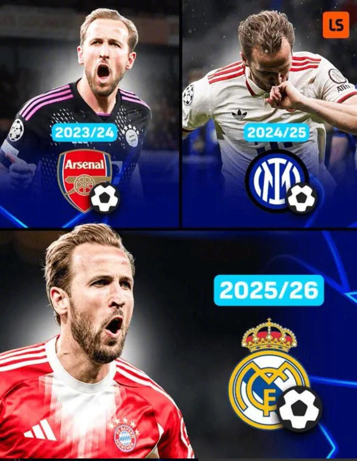 b体育官网-凯恩连续3赛季欧冠客场1/4决赛破门，伯纳乌再斩皇马|哈里·凯恩|拜仁慕尼黑|阿森纳|皇家马德里|哈里凯恩_新浪体育_新浪新闻